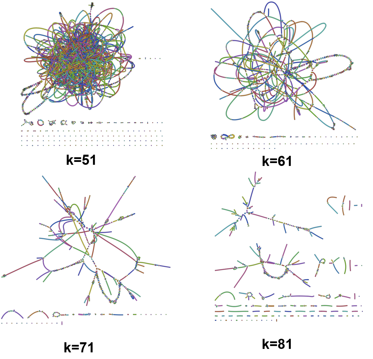 Examples of de Bruijn graphs at k=51 to k=91