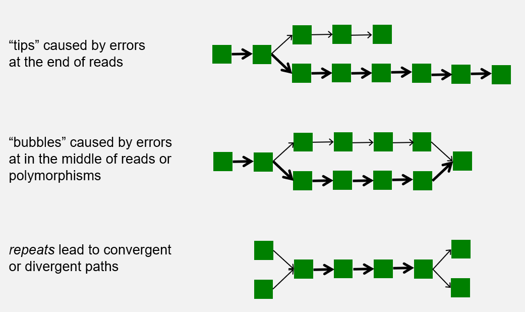Typical complexities within a de Bruijn graph: tips, bubbles, and repeat structures