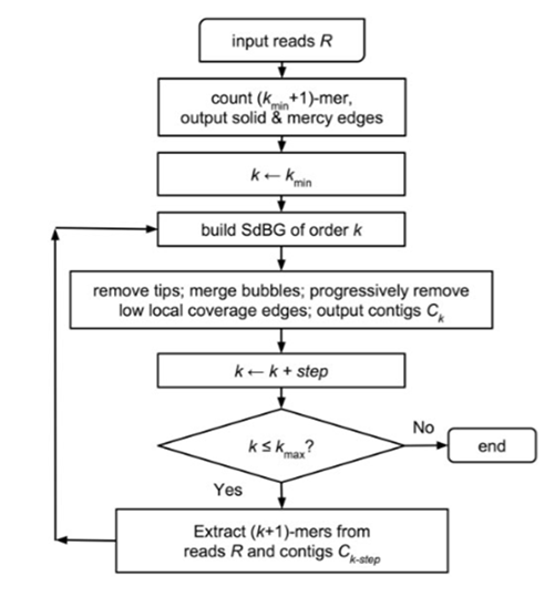 MEGAhit workflow 