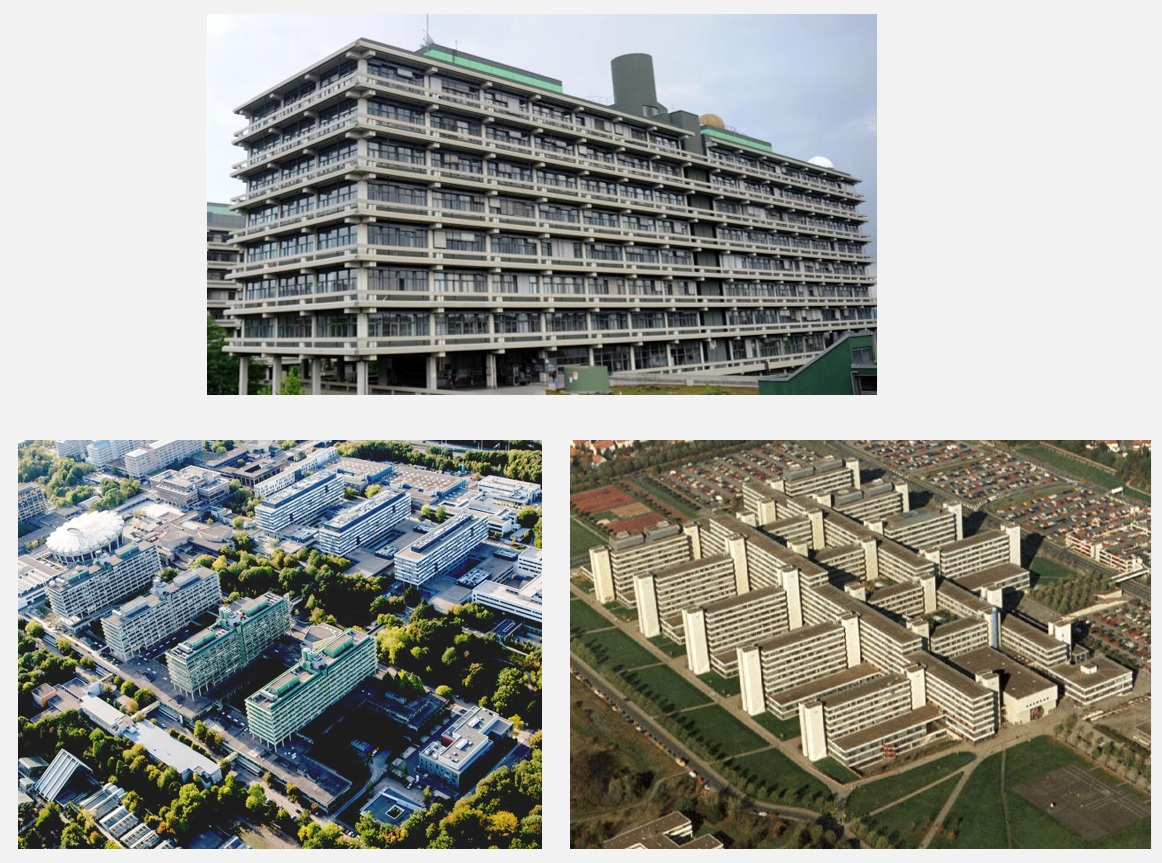Three very similar genomes