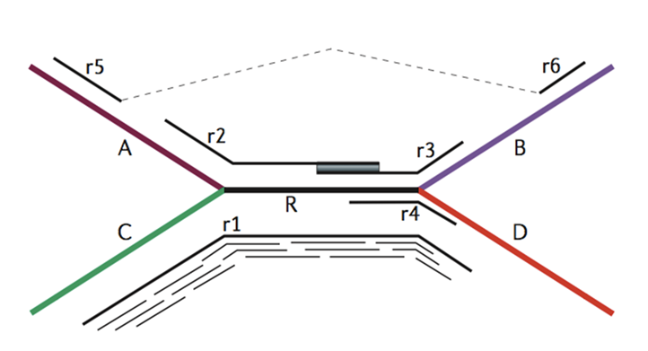 Repeat-induced ambiguities and unitig structure